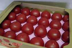 トマト1箱