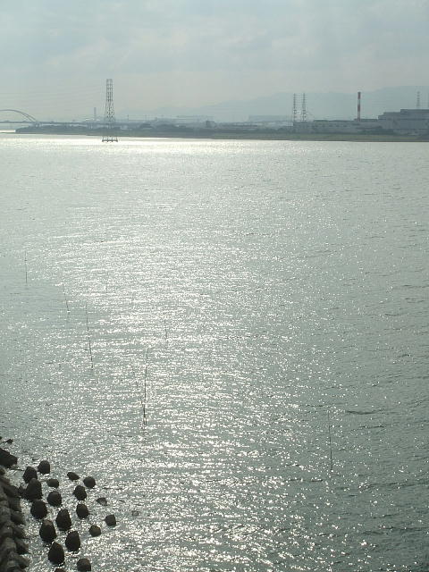 淀川河口