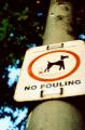 犬のフン禁止！