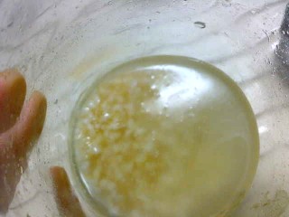 発芽玄米酵母