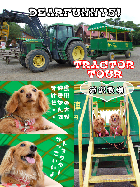 Takizawa-farm5_20080711.jpg