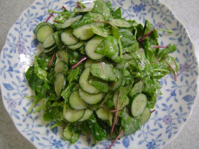 葉物野菜サラダヨーグルトソース