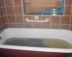 seaweed bath