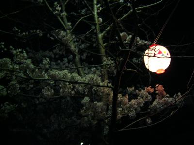 桜と和