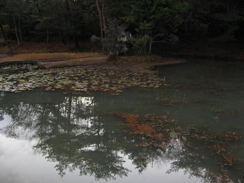 弁財天の池